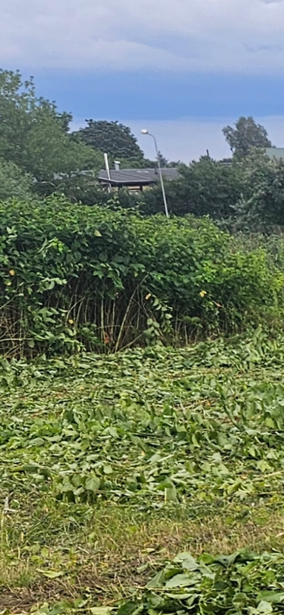 Inde garai zālei